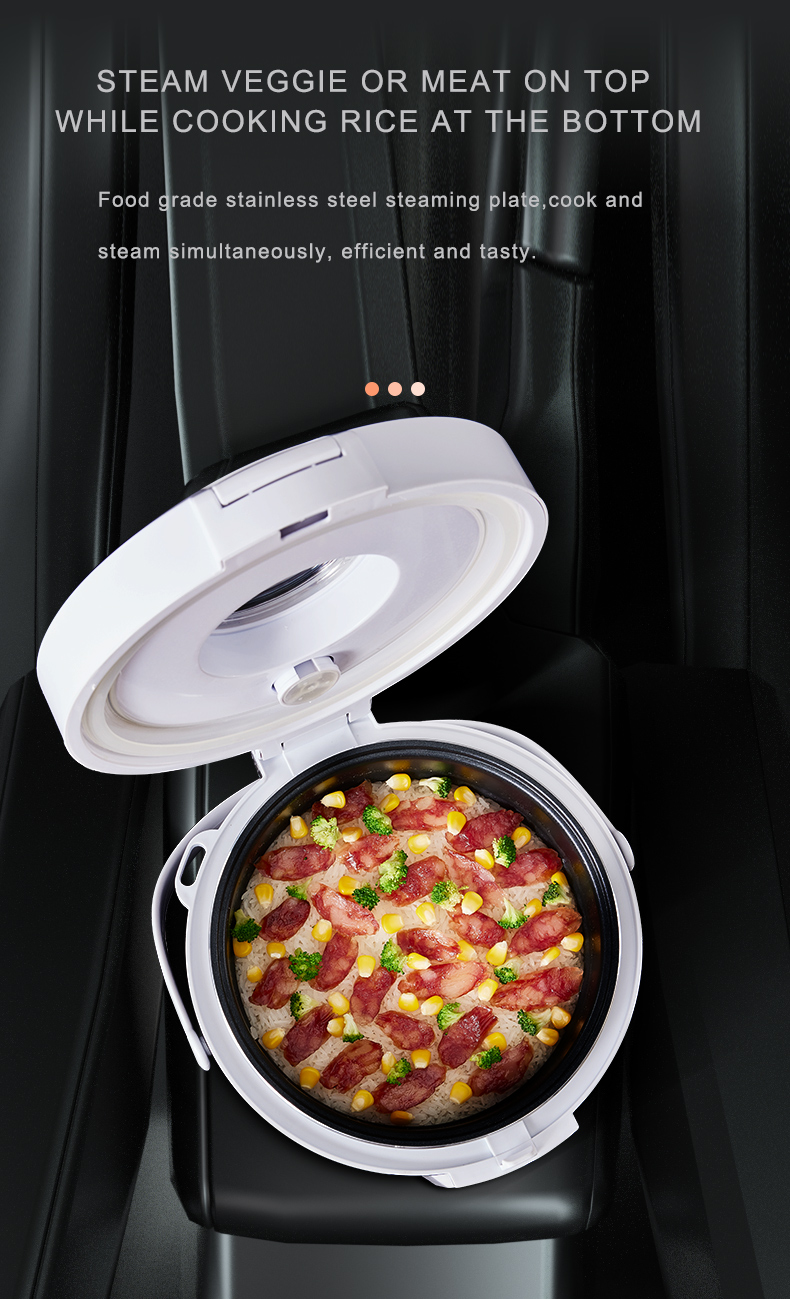 24V Rice Cooker  Truck Soup St - огляд і ціна Camping No Cooking Meals