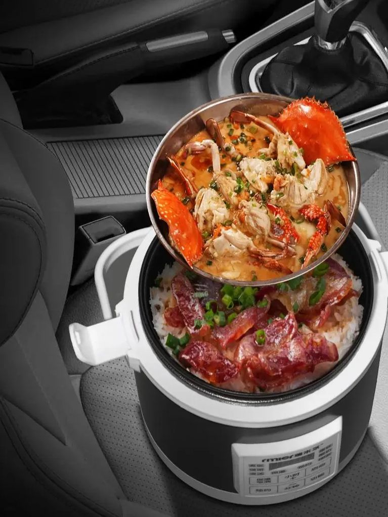 ARIER 12-24V 220V Rice Cooker  - огляд і ціна Camping Cooking Cylinder
