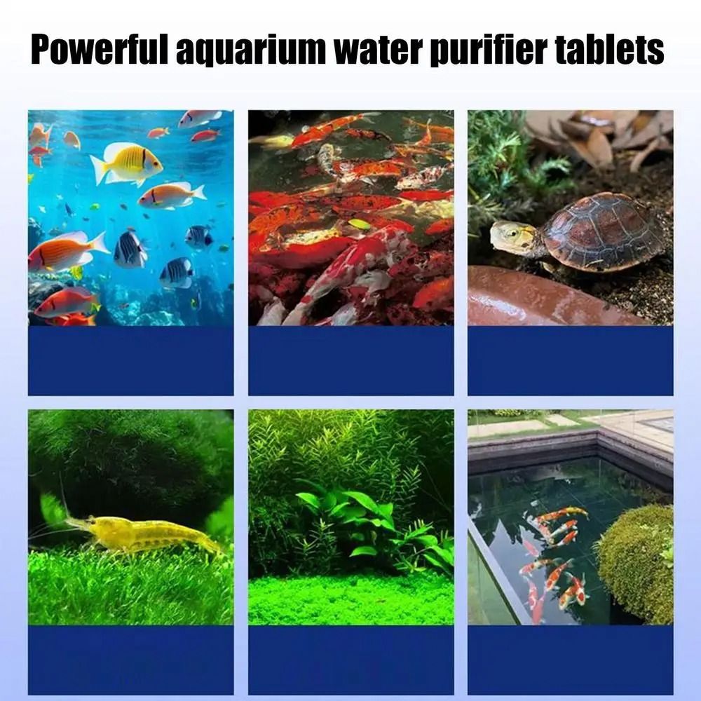 Powerful Water Purification Ta - огляд і ціна Water Purification Tablet